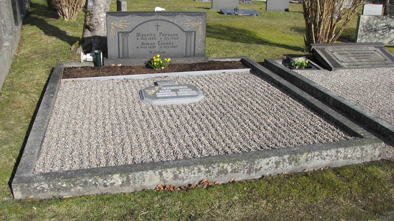 Grave number: HJ   392, 393