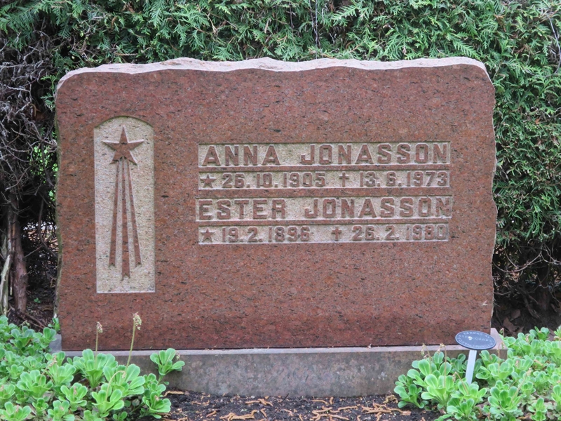 Grave number: HÖB 70C    61