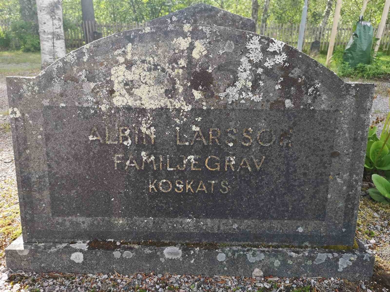 Gravnummer: SK M     8