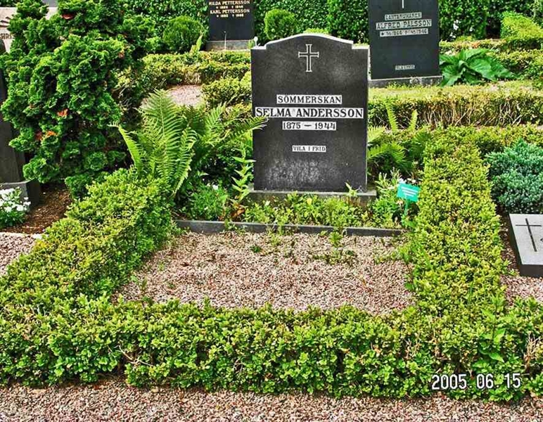 Grave number: 2 Södr A    50