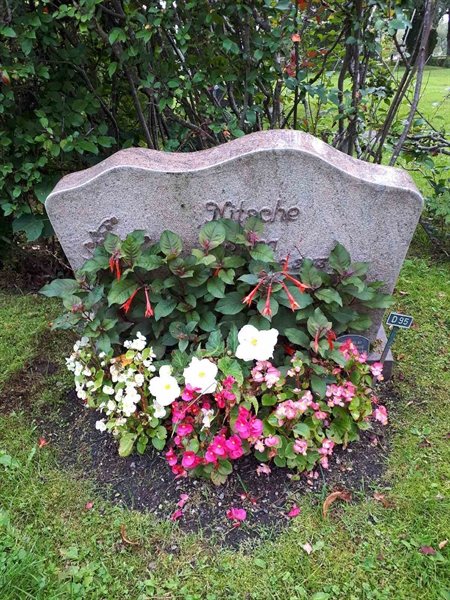 Hautatunnus: NK F D    95