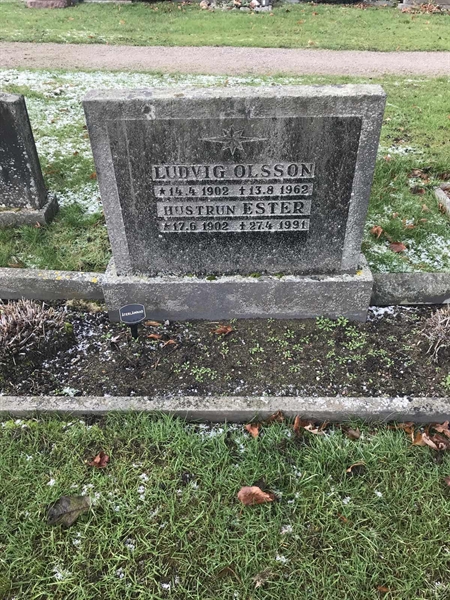 Grave number: 1 49    48-49