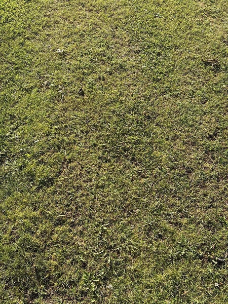 Grave number: SKF E    95