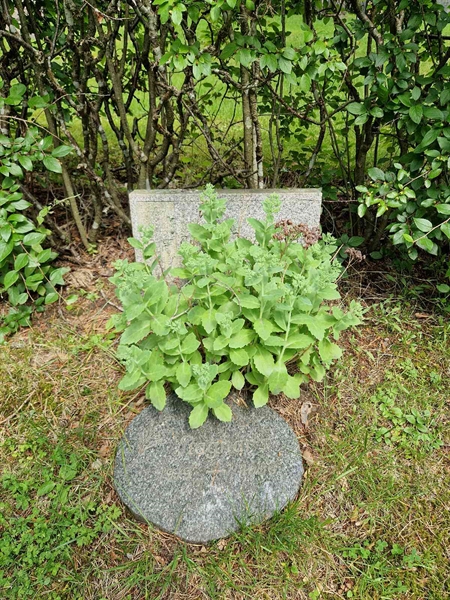 Grave number: 1 KV.3    93-94