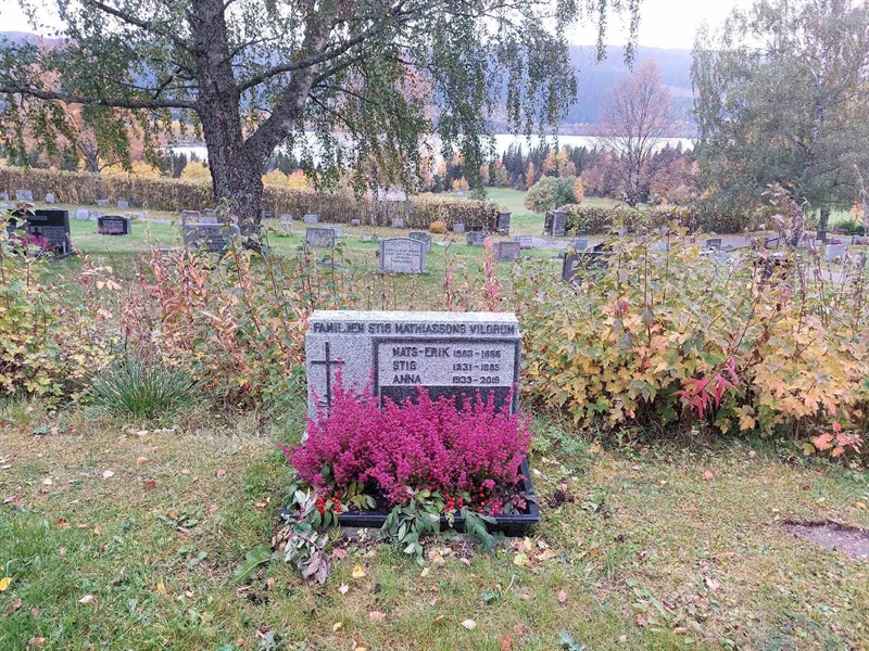 Hautatunnus: NY H 13