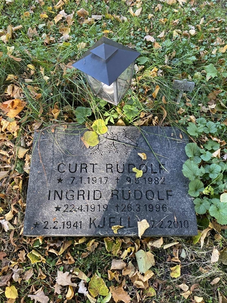 Hautatunnus: 1 H   494