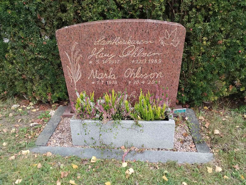 Grave number: NÅ 39    31, 32