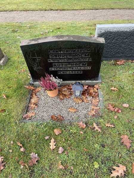 Hautatunnus: VV 4   456, 457, 458