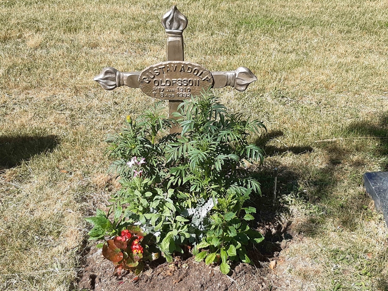 Grave number: VI 02   654