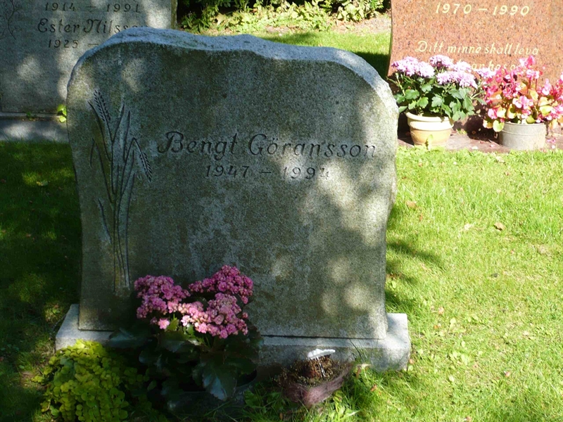 Grave number: 1 1  PL11