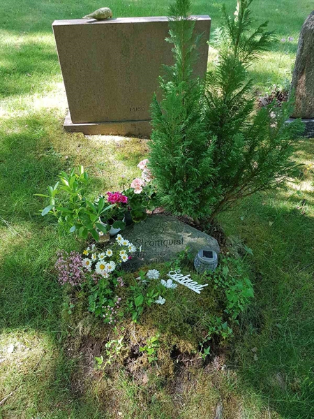 Grave number: 01 14170