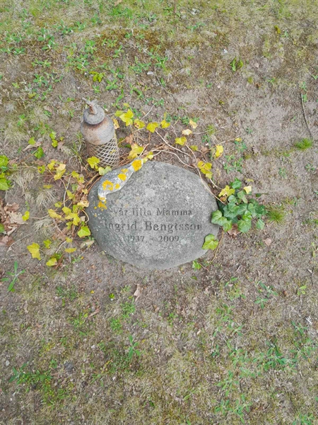 Grave number: 20 R 41