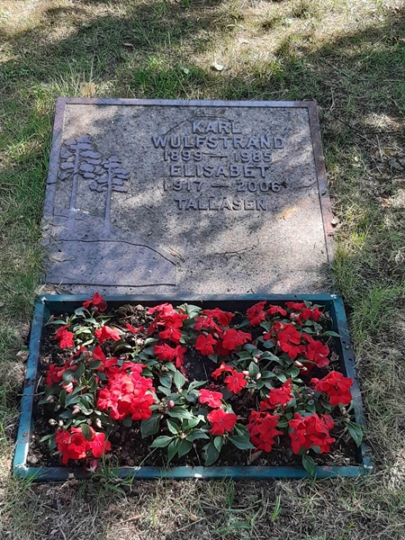 Grave number: VI 05   831