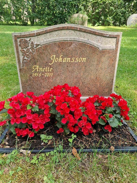Grave number: 1 KV.4    49