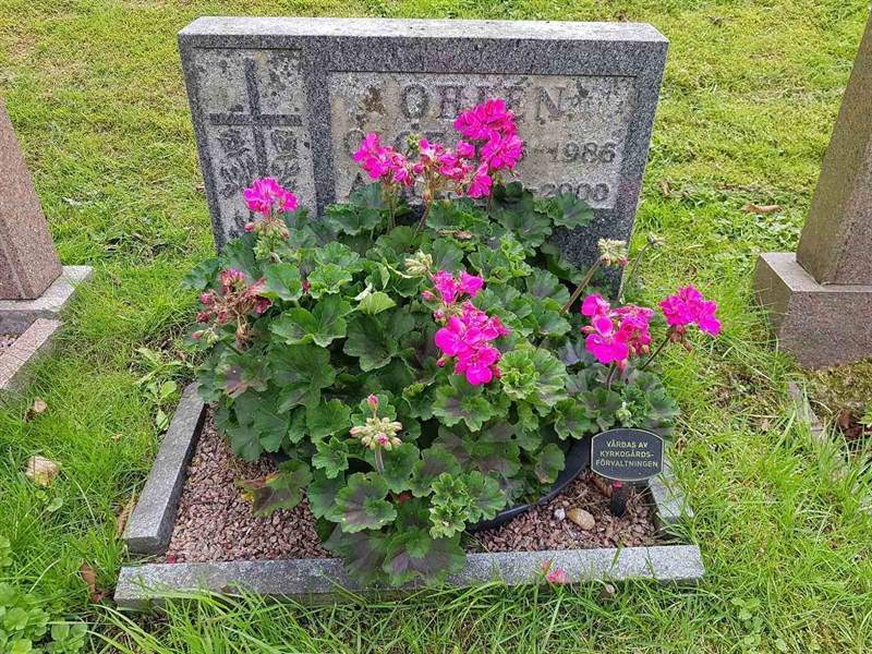 Grave number: 06 61095