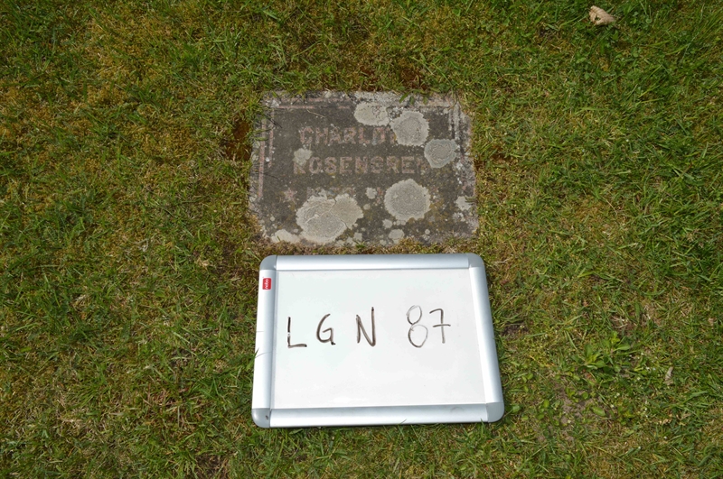 Grave number: LG N    87