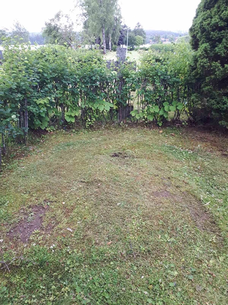 Gravnummer: GK F 5   434