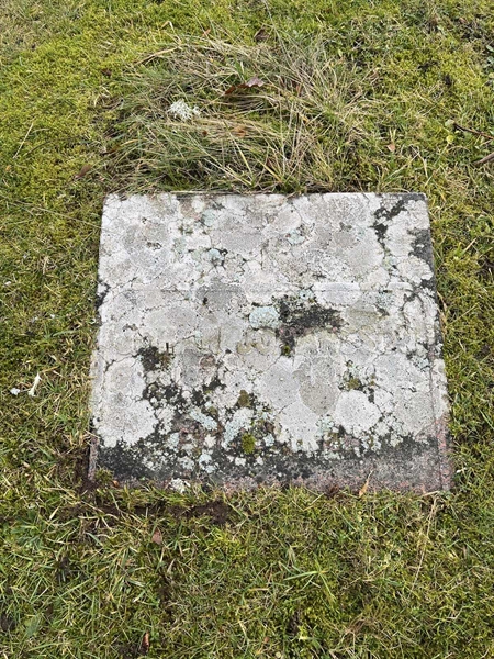 Hautatunnus: HA C     1