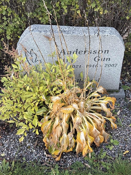 Grave number: 4 N ND   389