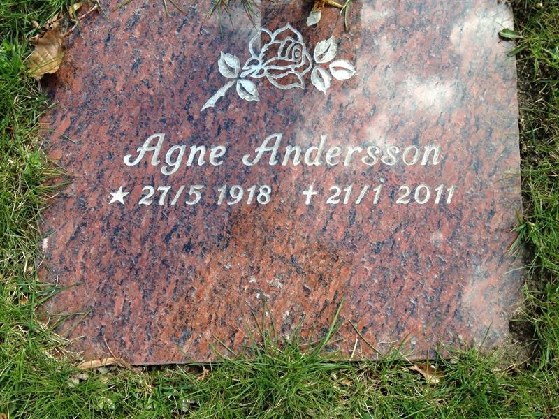 Grave number: 1 4 AGP    38