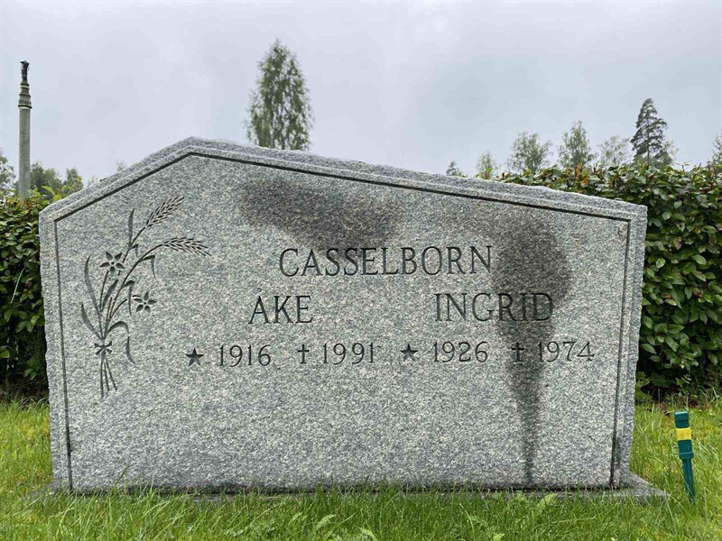 Gravnummer: 1 18     95, 96