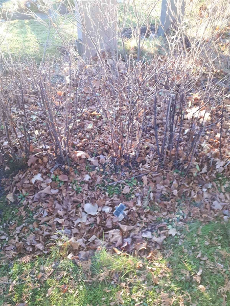 Gravnummer: GK U 2    88