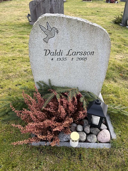 Grave number: Ärt 96 36 18