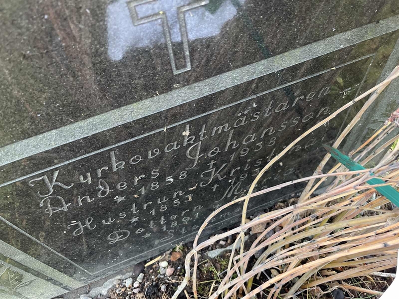 Hautatunnus: Vårv Kv1 144-146