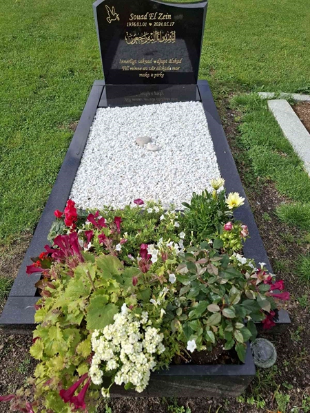 Hautatunnus: 01 19100