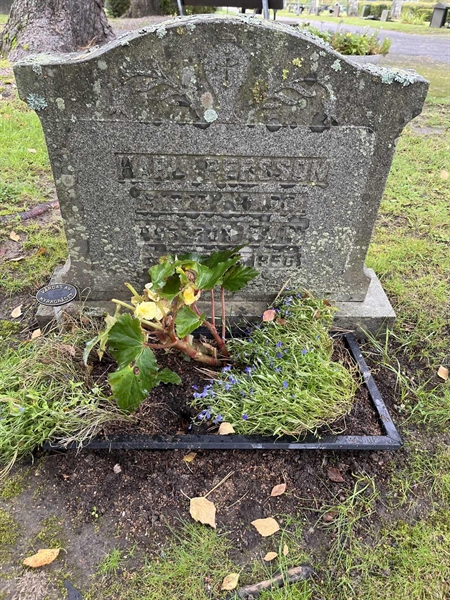 Grave number: 3 14  1650