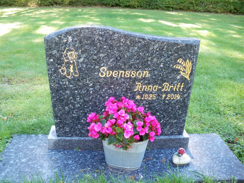 Grave number: SB 41     8, 9