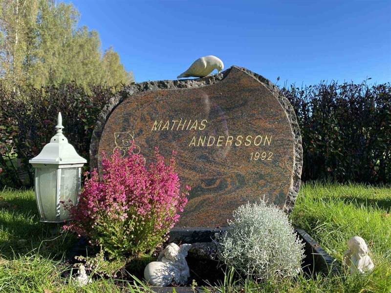 Grave number: 1 22     71