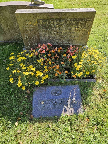Grave number: Fr 7   221-223