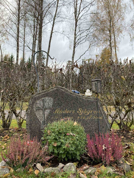 Grave number: 1 29     43