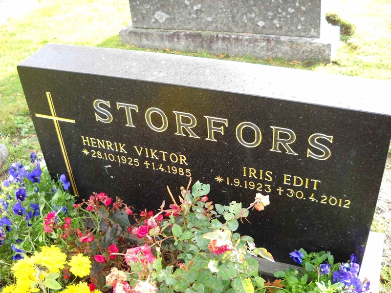 Hautatunnus: 1 GC 12    132-133