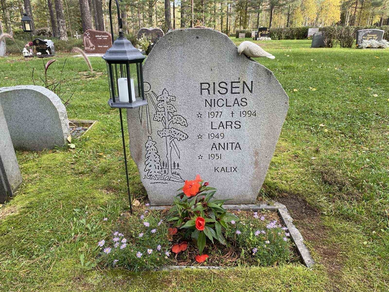 Grave number: 3 16   182