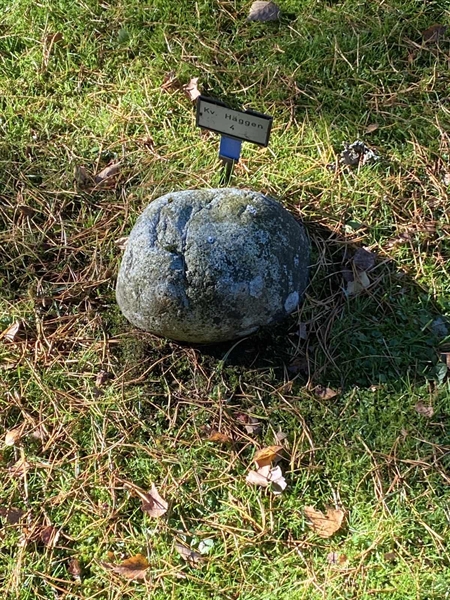 Grave number: 2 H     4