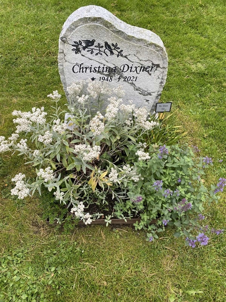 Hautatunnus: 2 E   134