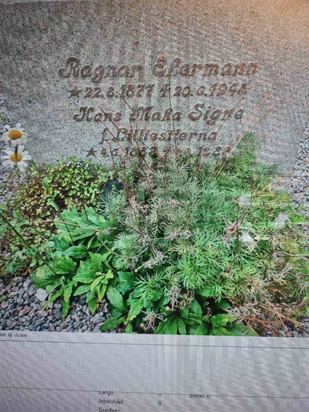 Gravnummer: EkGa A   194-195