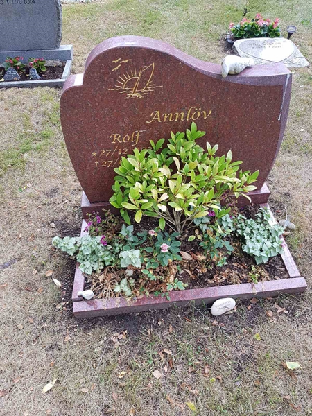 Grave number: 01 13520