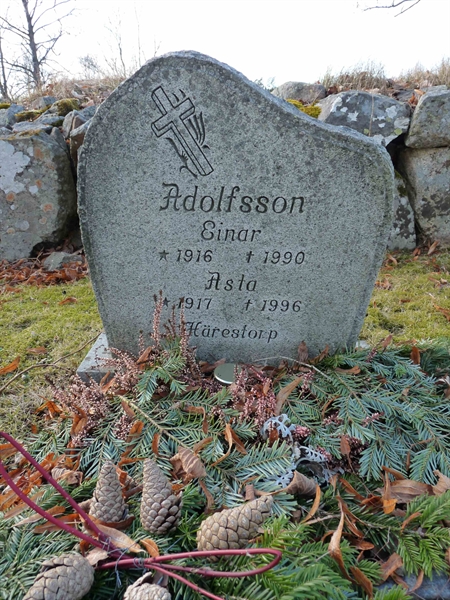 Grave number: SV 8   31