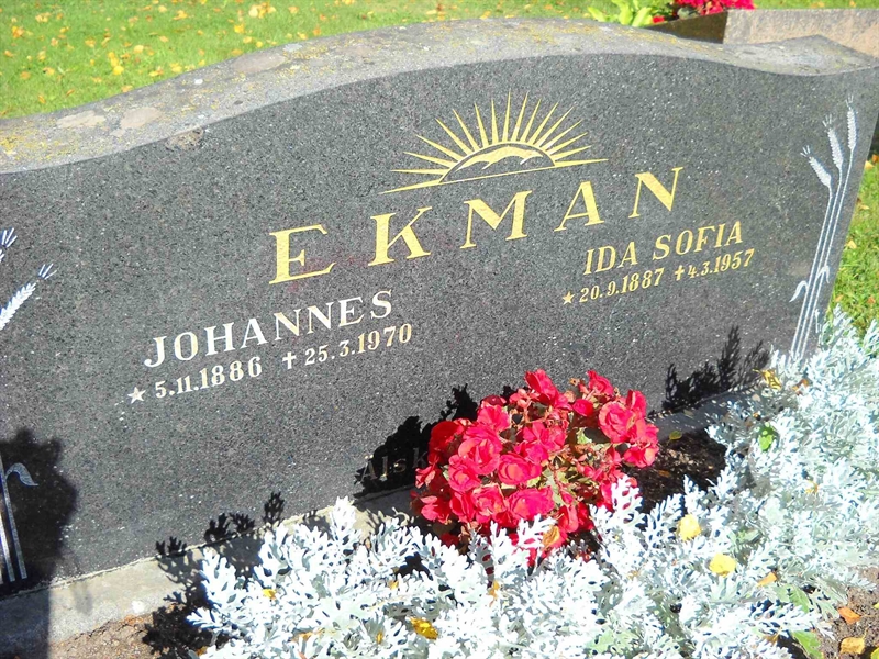 Grave number: 3 MB 18 20-21
