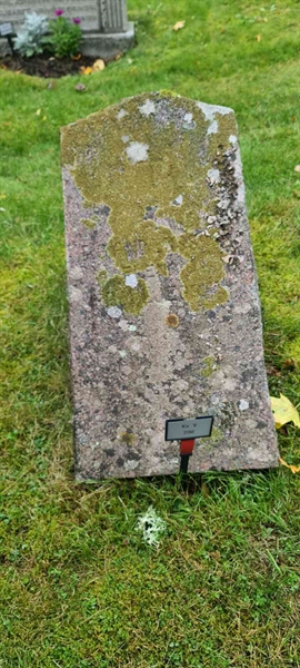 Grave number: M V  200