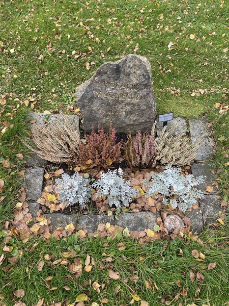 Hautatunnus: 2 C   330