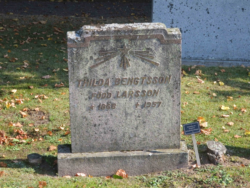 Grave number: HK C   220