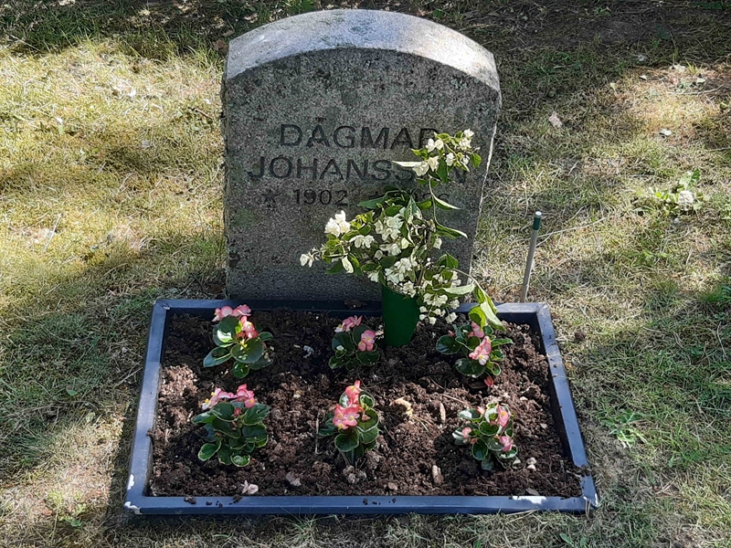 Grave number: VI 05   829