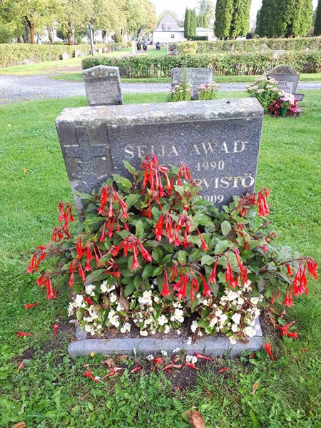 Gravnummer: NK F D    15