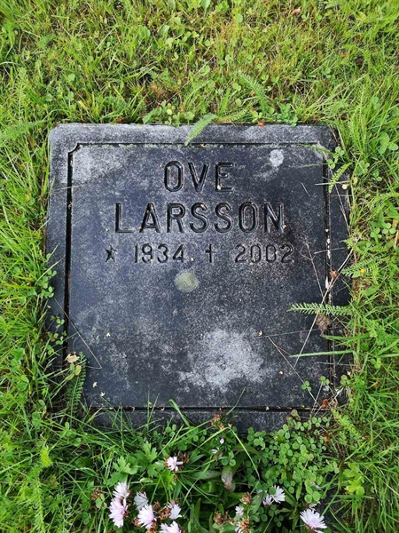 Hautatunnus: NK 17     8B