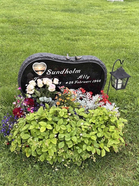 Grave number: IN 25     7