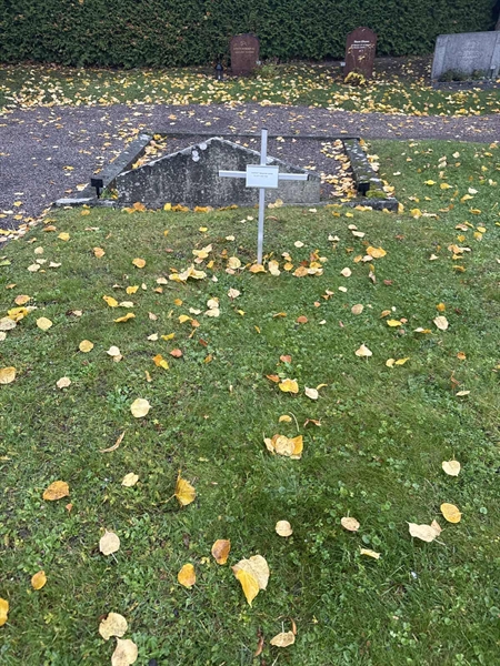 Hautatunnus: SI 8  1063, 1064